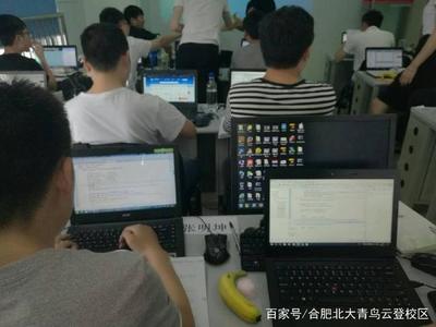 汽車維修與計算機軟件開發(fā),哪個更有前景?